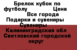 Брелок кубок по футболу Fifa 2018 › Цена ­ 399 - Все города Подарки и сувениры » Сувениры   . Калининградская обл.,Светловский городской округ 